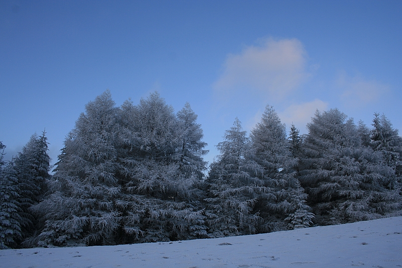 Bieszczady 12.2007 057